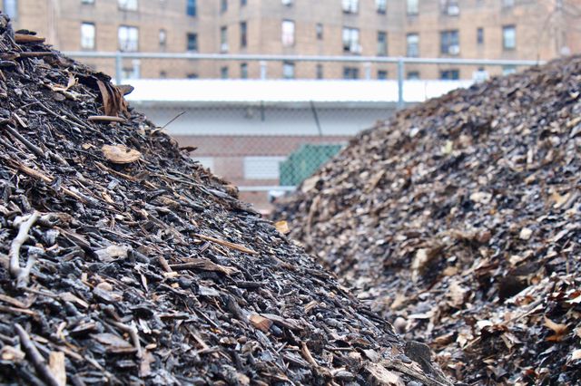 Huge mounds of compost sit under the Queensboro Bridge.